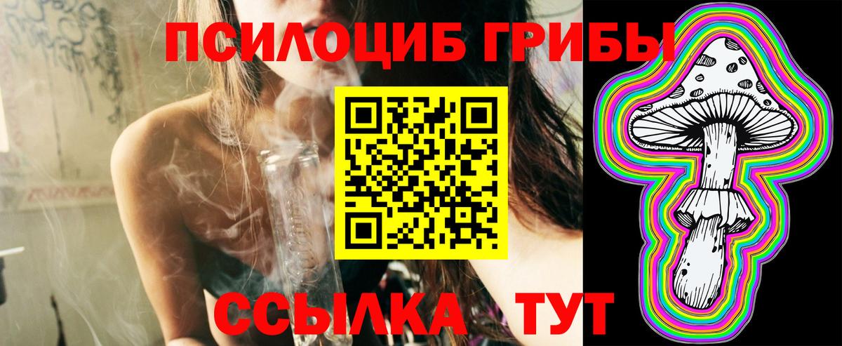 Псилоцибиновые грибы Magic Shrooms Куйбышев