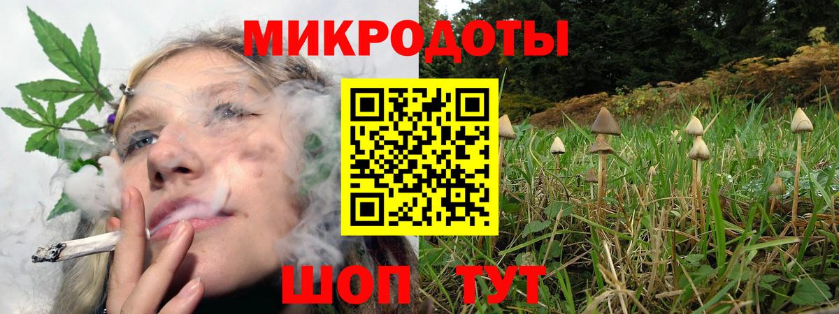Галлюциногенные грибы Magic Shrooms  Вход с VPN  Куйбышев 